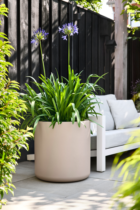 pure cilinder wheels 50 balanced beige